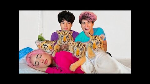 SURPRISING BESTFRIEND WITH BABY TIGERS!!