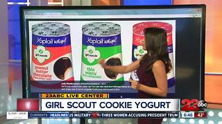 Girl Scout Cookie Flavored Yogurt