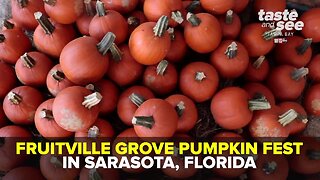 Enjoy your favorite fall activities at the Fruitville Grove Pumpkin Festival | Taste and See Tampa Bay