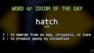 Word Of The Day 067 - hatch