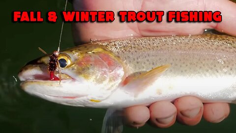 Tips & Tricks For Fall/Winter Trout Fishing