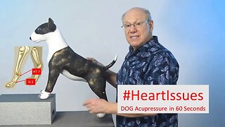 Acupressure for a Healthy Canine Heart