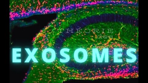 [VOSTFR] La théorie des exosomes | Exosome theory