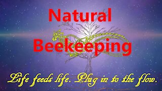 Natural Bee Keeping