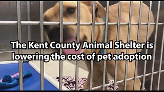 The Kent County Animal Shelter is lowering the cost of pet adoption