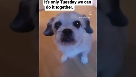 Tuesday, we can do it