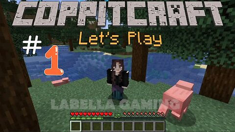 Let's Play - Coppitcraft - Ep 1 - Getting Started | Minecraft