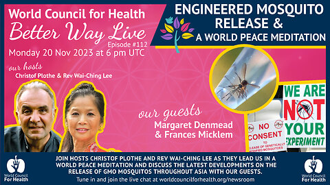 Engineered Mosquito Release + World Peace Meditation | Better Way Live Episode #112