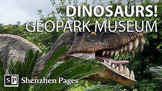 What Shenzhen Geopark Museum Doesn’t Want You to Know: They Have Dinosaurs!