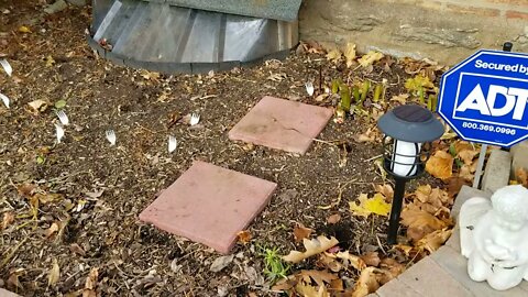 Stepping Stone Landscaping Project - What's Next On The List Of Prepping The Garden For Winter