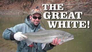 Catching The Great White STEELHEAD! | Fish Tales