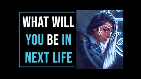 What will you be in your next life?