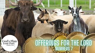 Numbers 7 | Offerings for the Lord