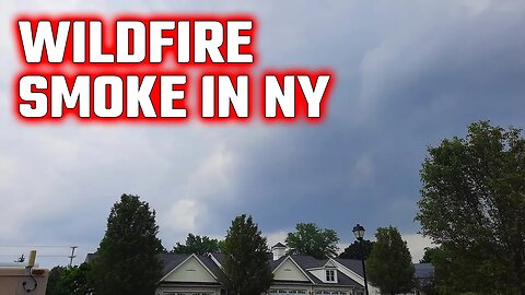 Canadian Wildfire Smoke Update In Western NY | Walking With Lefty