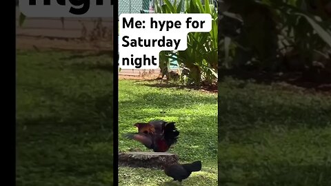 HYPE FOR SATURDAY NIGHT BE LIKE