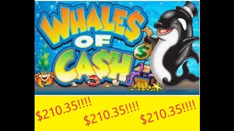 $210.35 win on Whales of Cash Wonder 4 at Wildwood Casino in Cripple Creek, Colorado