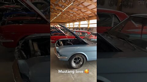 #mustang #mustanglovers #ford #fordmustang #classiccarsforsale #classicford #car #antiquecar