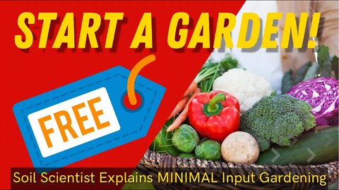 Starting A Productive Garden For Under $30. Gardening Does Not Need To Be Expensive! Save Money 💰