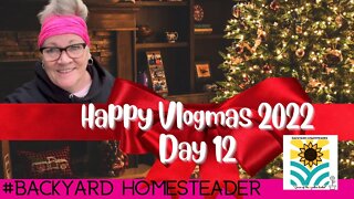 Vlogmas 2022 Day 12