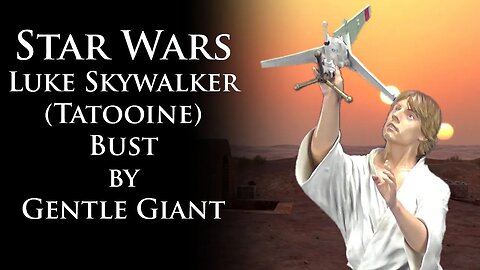 Star Wars Luke Skywalker (Tatooine) bust by by Gentle Giant