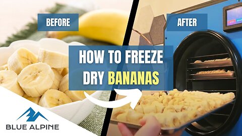 How To Freeze Dry 40lbs Of Bananas