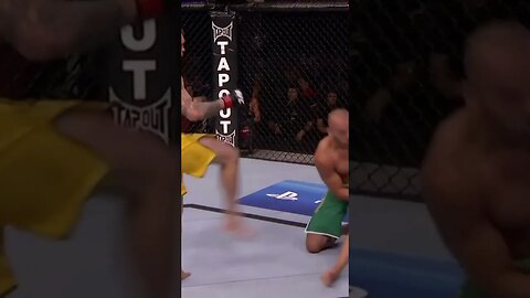 MMA Monkeez - Knockout Videos 666
