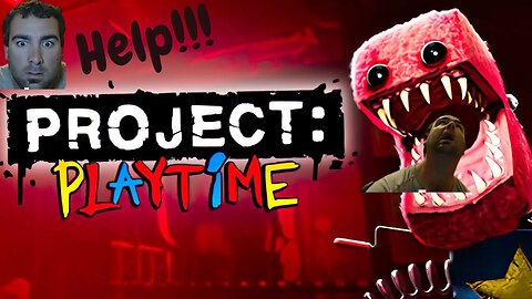 Project Playtime: The Scariest Horror Game You'll Ever Play!
