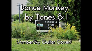 Dance Monkey by Tones & I (AmberSky Guitar Cover)