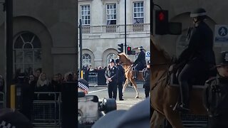 Royal Horse's and police horse kings Charles ceremony #horseguardsparade
