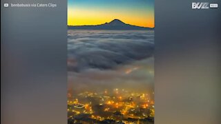 Un incroyable time-lapse de Seattle à l'heure de pointe