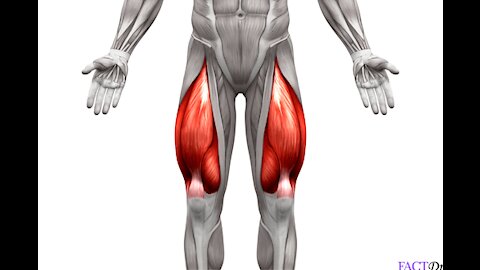 Triple Phase Training•Part 5•Quads