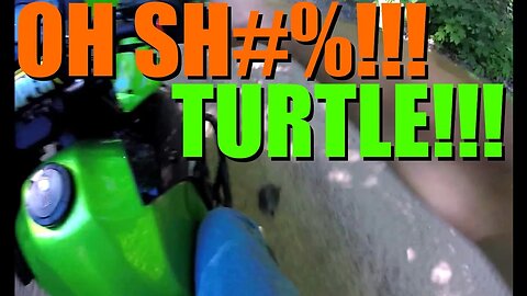 Save The Turtles! KLR650 Off Road Riding On ATV Trials!