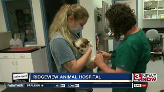 We're Open Omaha: Ridgeview Animal Hospital