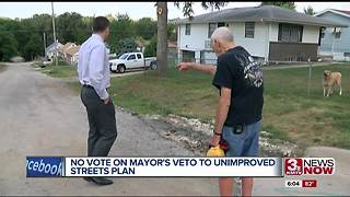 City council does not override mayor's veto