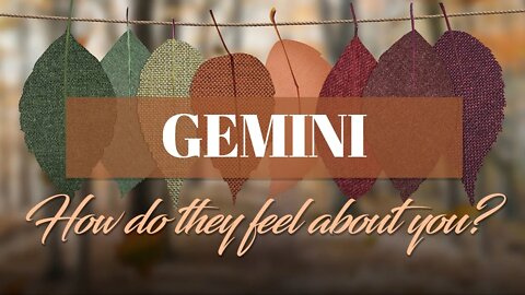 Gemini♊ They want to let go of an EX/Past Love before they can give your relationship a chance.