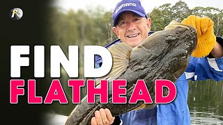 How You FIND FLATHEAD: Lake & Estuary Fishing!
