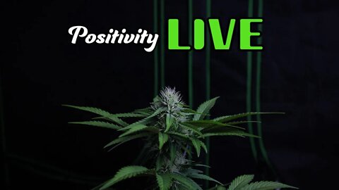Positivity LIVE - AUA (Ask Us Anything) Q&A