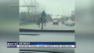 Mounted Wayne State University police officer pulls over driver in viral video