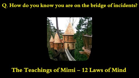The Bridge of Incidents Explained - The Teachings of Mimi!