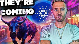 CARDANO: A STAMPEDE IS COMING