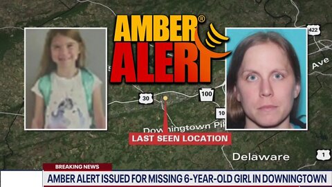 AMBER ALERT - 6 year old Zoe Moss - ABDUCTED DURING "SUPERVISED" VISITATION - Pennsylvania
