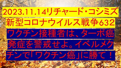 2023.11.14 リチャード・コシミズ新型コロナウイルス戦争６３２