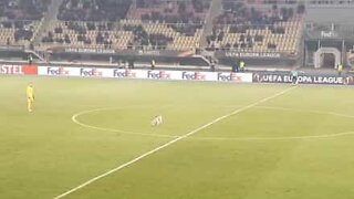 Cão invade jogo da Liga Europa de futebol