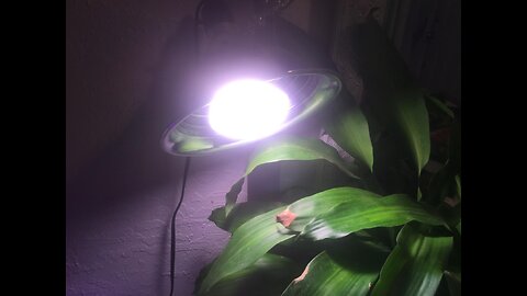 GE Grow Light LED Indoor Flood Light Bulb, Balanced Light Spectrum for Seeds and Greens, 9 Watt...