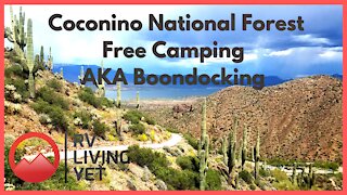 Coconino National Forest Arizona Free Camping