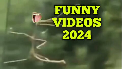 Funny videos 2024