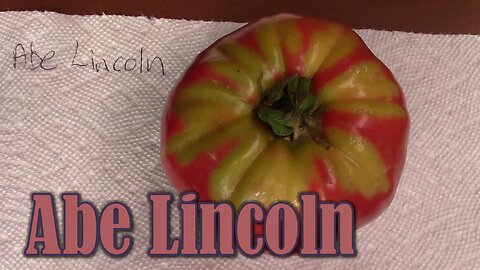 Tomato Review: Abe Lincoln