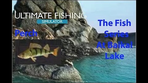 Ultimate Fishing Simulator: The Fish - Baikal Lake - Perch - [00020]