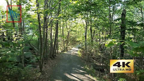 Old Coach Road Trail ((4K)) B-Roll