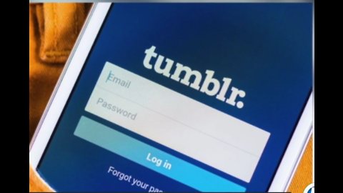 Stuart organization reacts to changes Tumblr is making about adult content